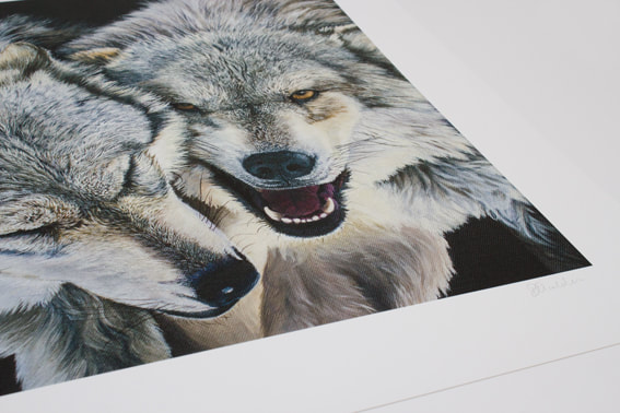 Limited Edition Fine Art Giclee Print - Wolves - Debbie Goulden ...